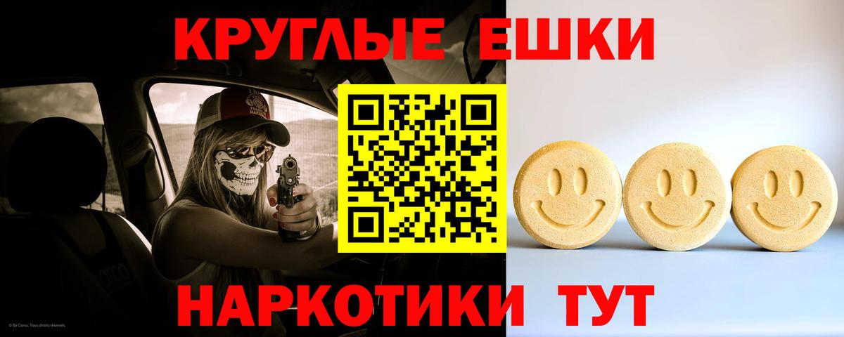 Сокол  Ecstasy Philipp Plein  Ecstasy TESLA  Вход с VPN 