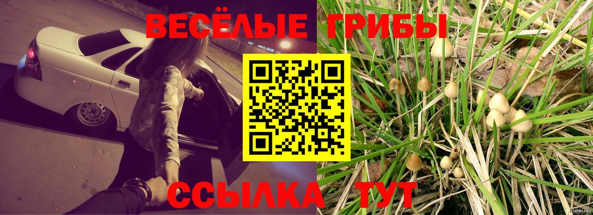 Псилоцибиновые грибы Magic Shrooms Сокол