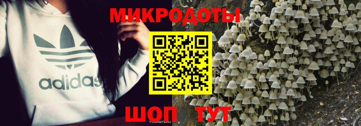 Сокол  Галлюциногенные грибы мухоморы  Галлюциногенные грибы GOLDEN TEACHER  купить   Вход с VPN 